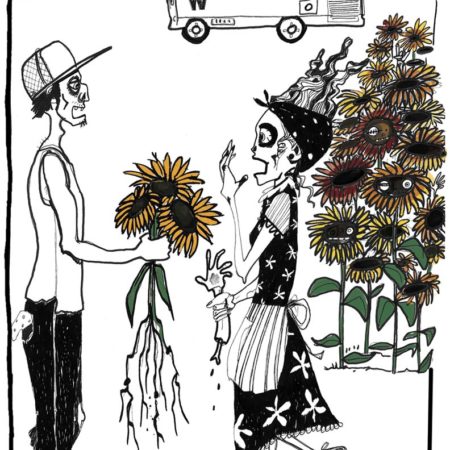 Tournesol Lemon Queen x  Mammouth Sunflower