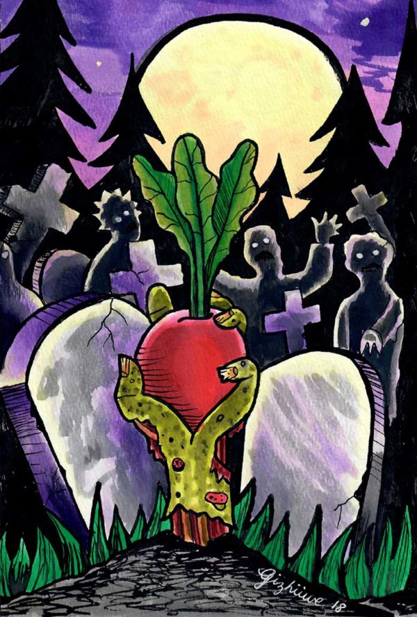 Betterave Touchstone Beets